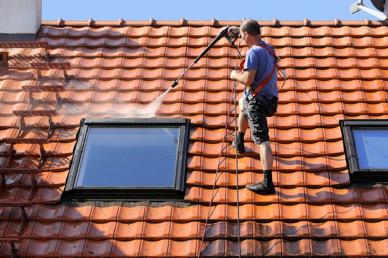 Soft Roof Cleaning