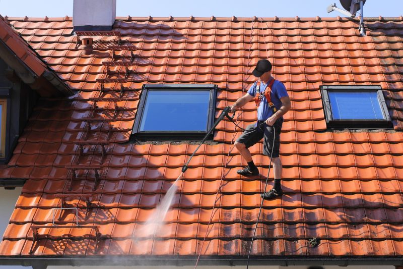 Soft Roof Cleaning