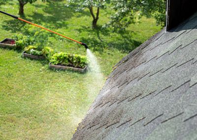 Soft Roof Cleaning