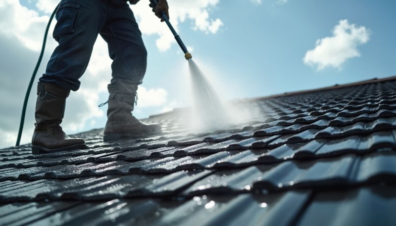 Soft Roof Cleaning