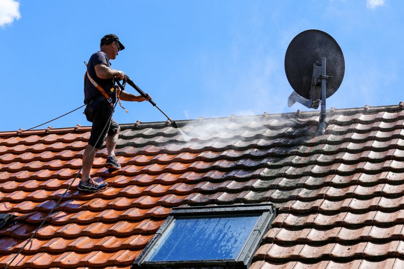 Soft Roof Cleaning